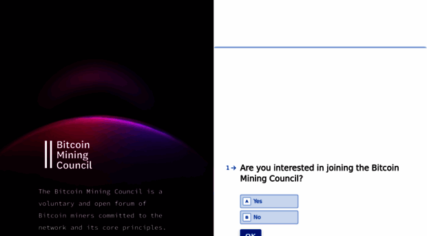 bitcoinminingcouncil.com