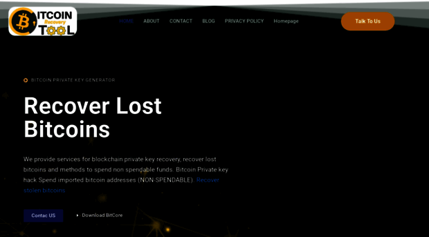 bitcoinsrecoverytool.com