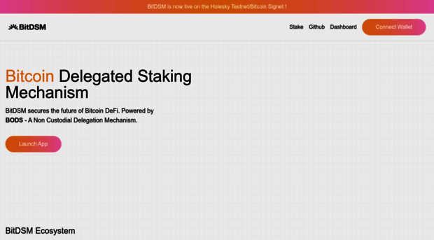 bitdsm.vercel.app
