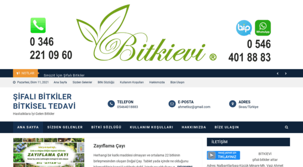 bitkievi.com