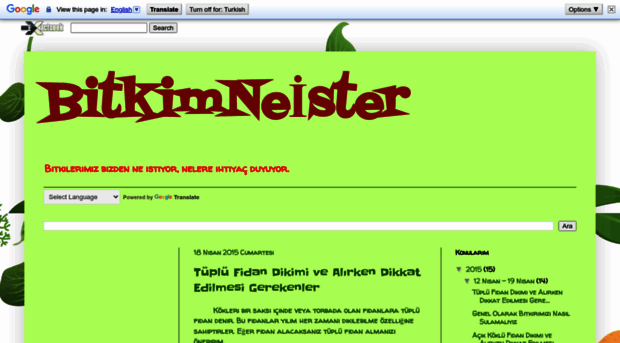 bitkimneister.blogspot.com