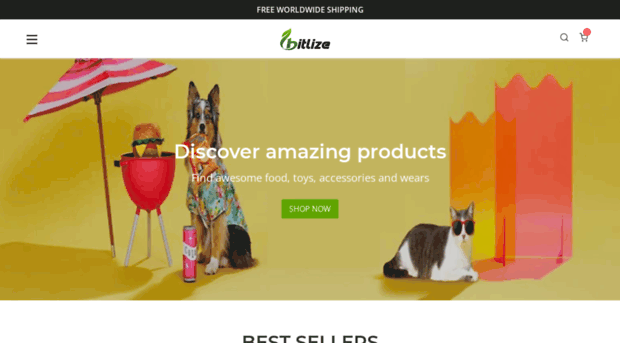 bitlize.com