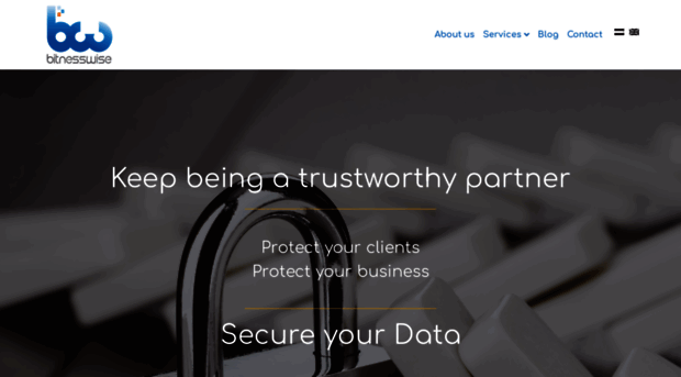 bitnesswise.com