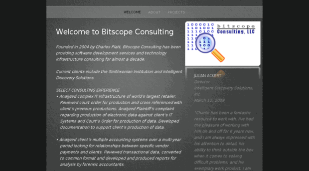 bitscopeconsulting.com