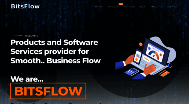 bitsflowtech.com