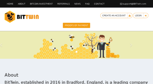 bittwin.net