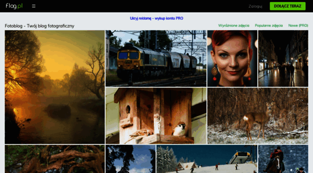 bitwy-fotograficzne.flog.pl