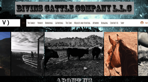 bivinscattlecompany.com