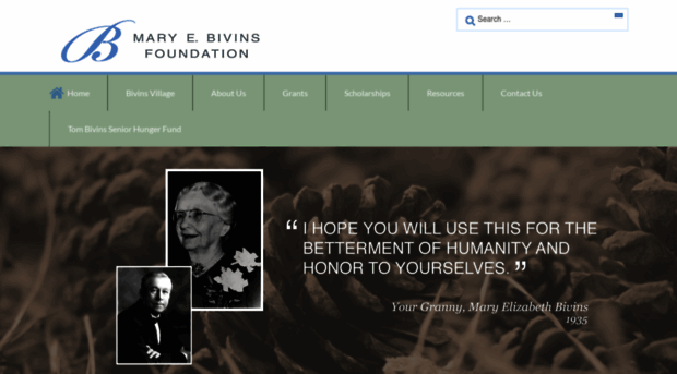 bivinsfoundation.org