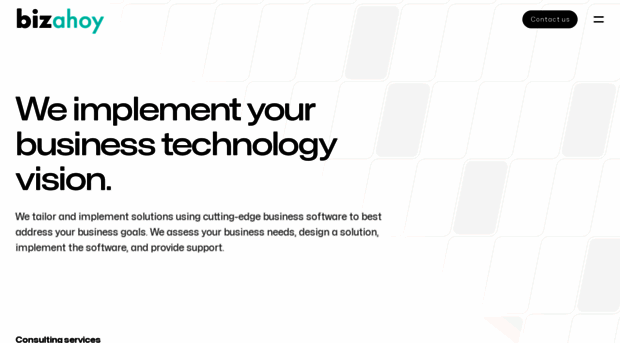 bizahoy.com