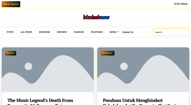 bizdashnow.com