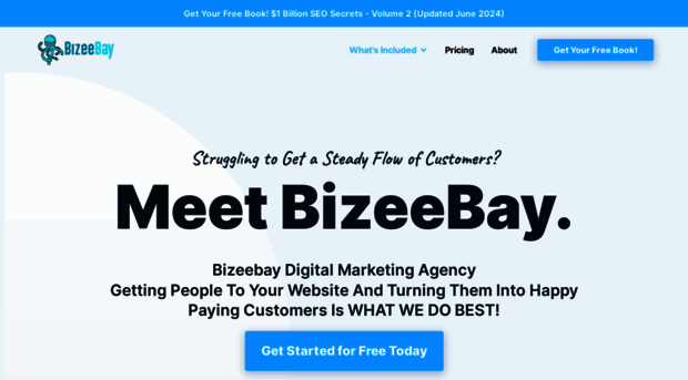 bizeebay.com