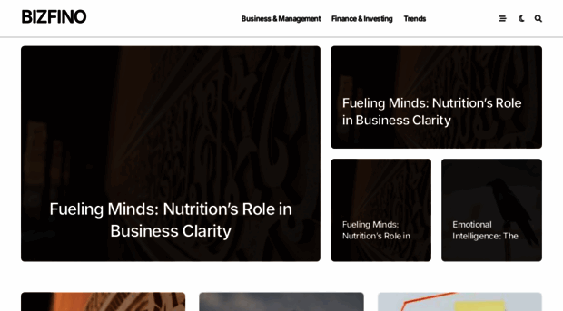 bizfino.com