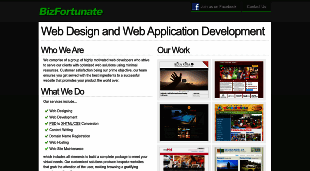 bizfortunate.com