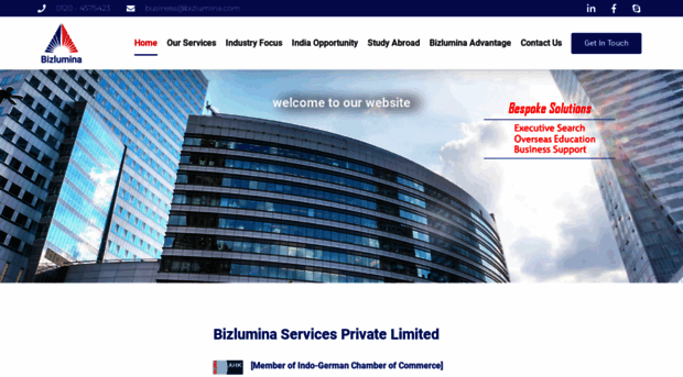 bizlumina.com