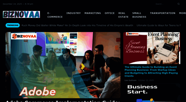 biznovaa.com