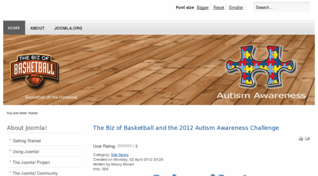 bizofbasketball.com