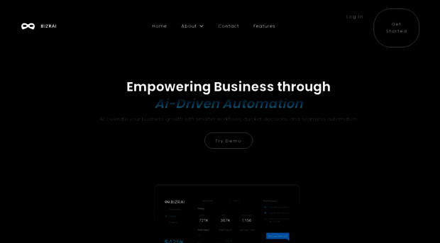 bizrai.com