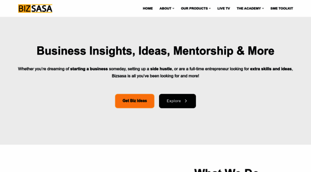 bizsasa.com