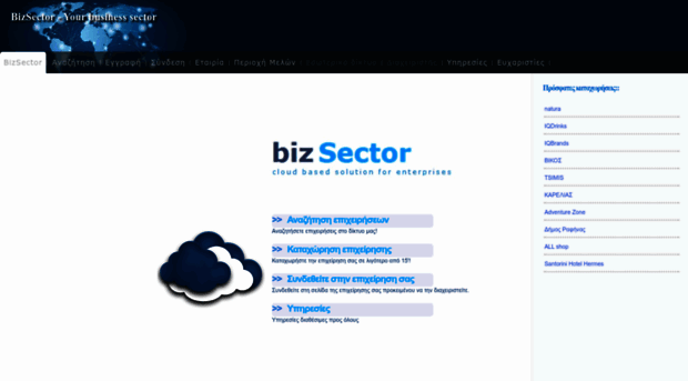 bizsector.com