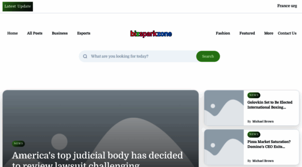 bizsparkzone.com