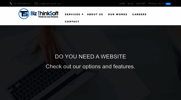 bizthinksoft.com