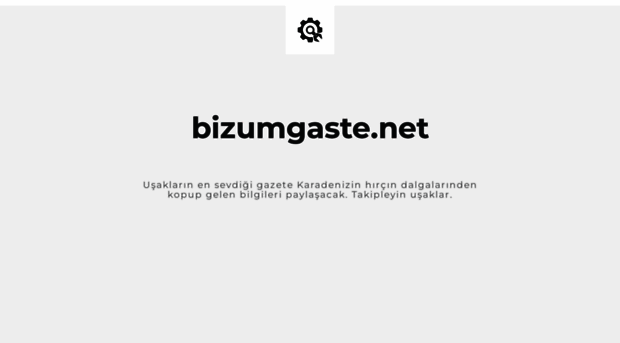 bizumgaste.net