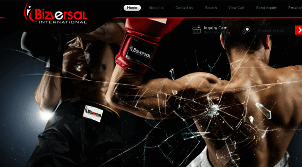 bizversal.com