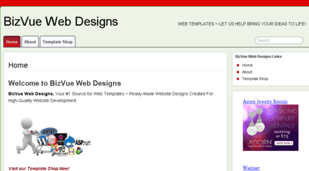 bizvuewebdesigns.com
