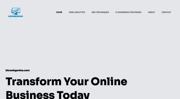 bizwebgenius.com