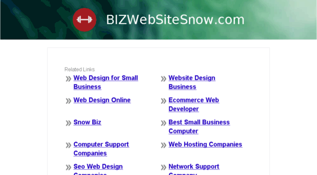 bizwebsitesnow.com