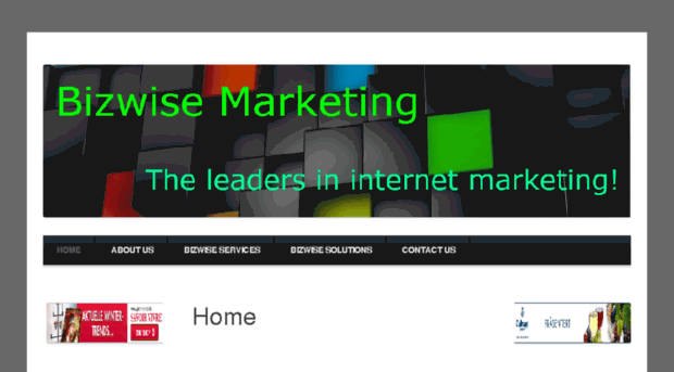 bizwise-marketing.com