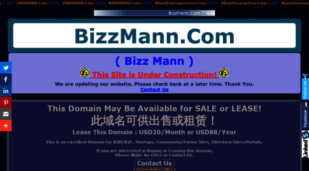 bizzmann.com