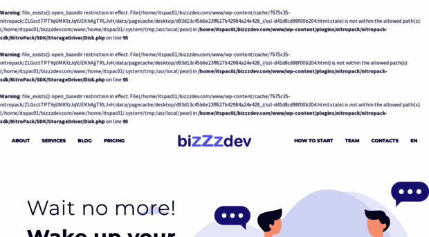 bizzzdev.com