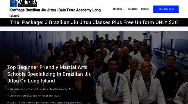 bjjlongisland.com