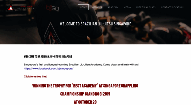 bjjsin.com