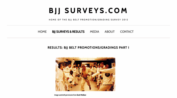 bjjsurveys.com