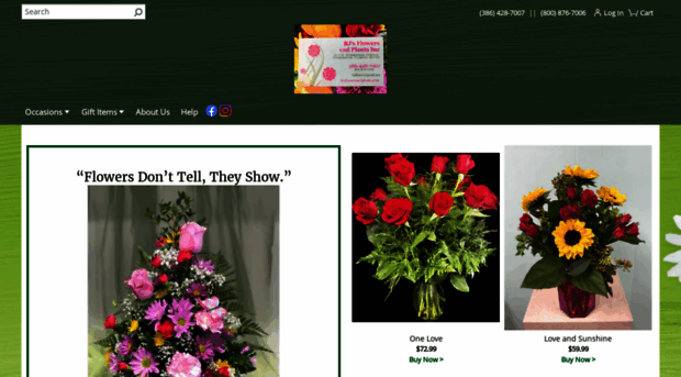 bjsflowersandplants.com