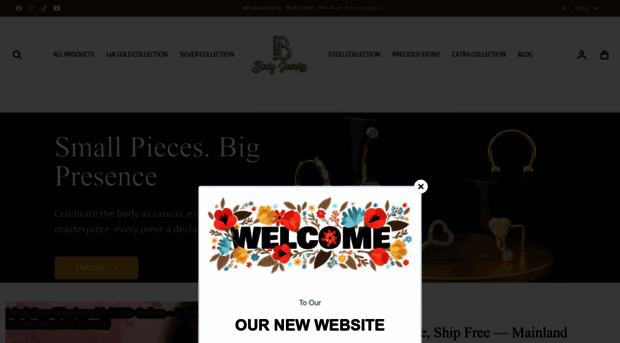 bjzusa.com