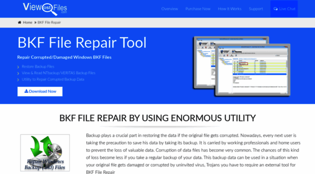 bkf-file-repair.viewostfiles.com