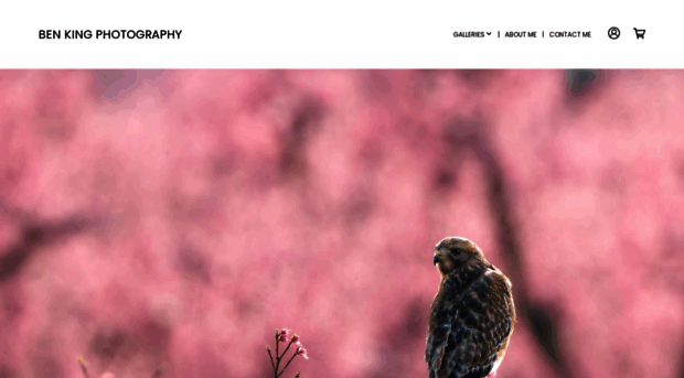 bknaturephoto.com