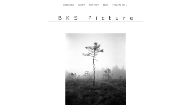 bkspicture.com