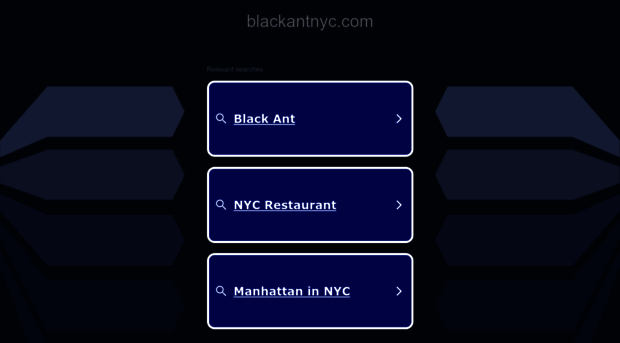 blackantnyc.com