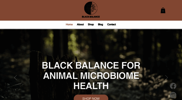 blackbalance.uk