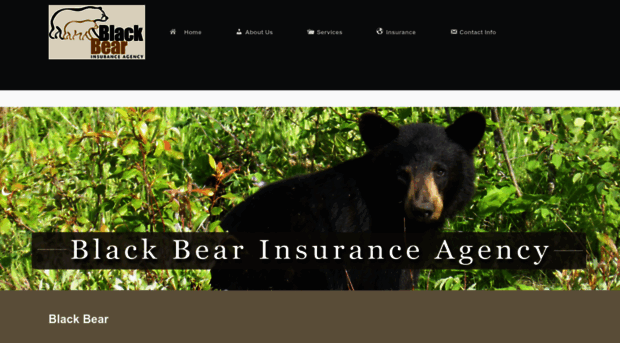 blackbearagency.com