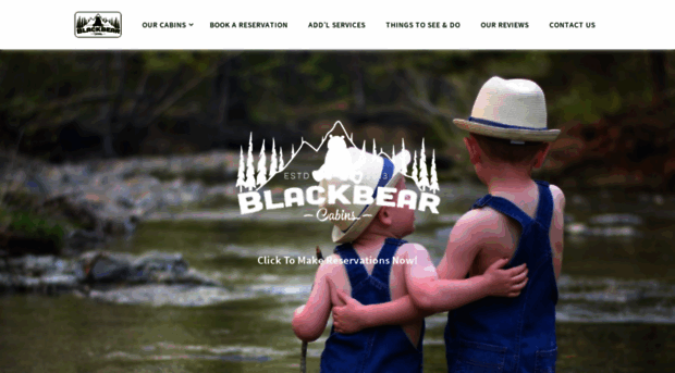 blackbearcabinsmena.com