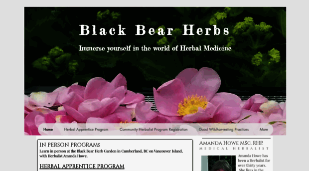 blackbearherb.com