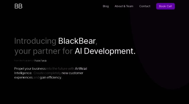 blackbearlabs.ai