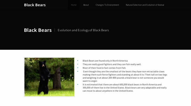 blackbearsecology.weebly.com