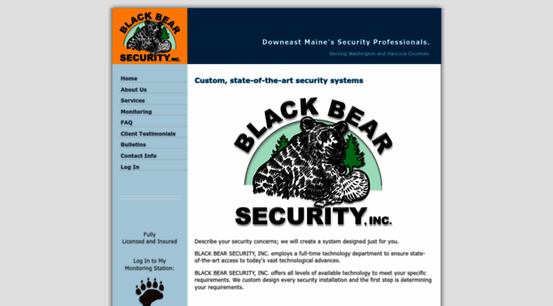 blackbearsecurity.net